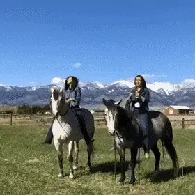 GIFparade CLVII GP157_16 