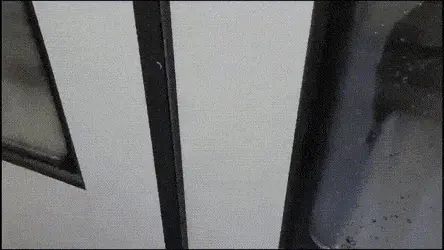 GIFparade CLVII GP157_17 