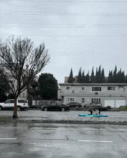 GIFparade CLVII GP157_18 