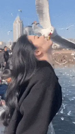 GIFparade CLVIII GP158_04 