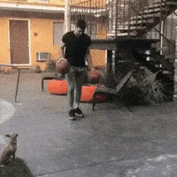 GIFparade CLVIII GP158_07 