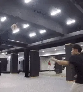 GIFparade CLVIII GP158_13 