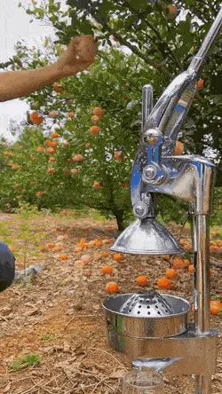 GIFparade CLVIII GP158_27 