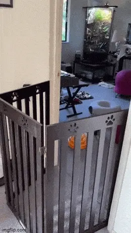 GIFparade CLVIII GP158_30 