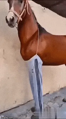 GIFparade CLVIII GP158_38 