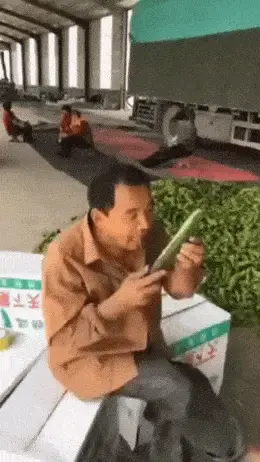 GIFparade CLVIII GP158_41 