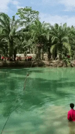 GIFparade CLVIII GP158_43 