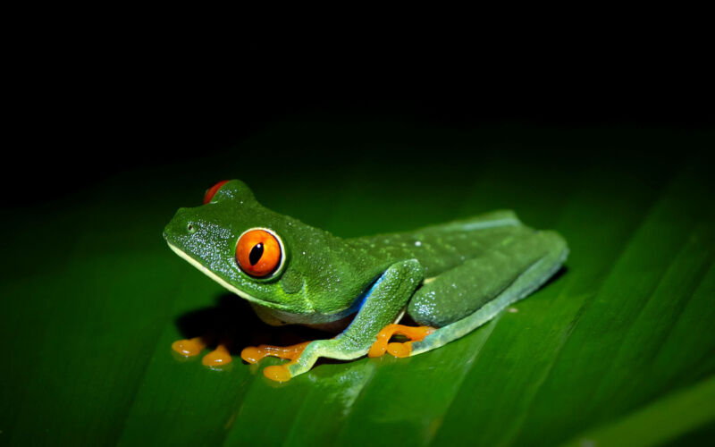 Best of Unsplash: Oktober 2025