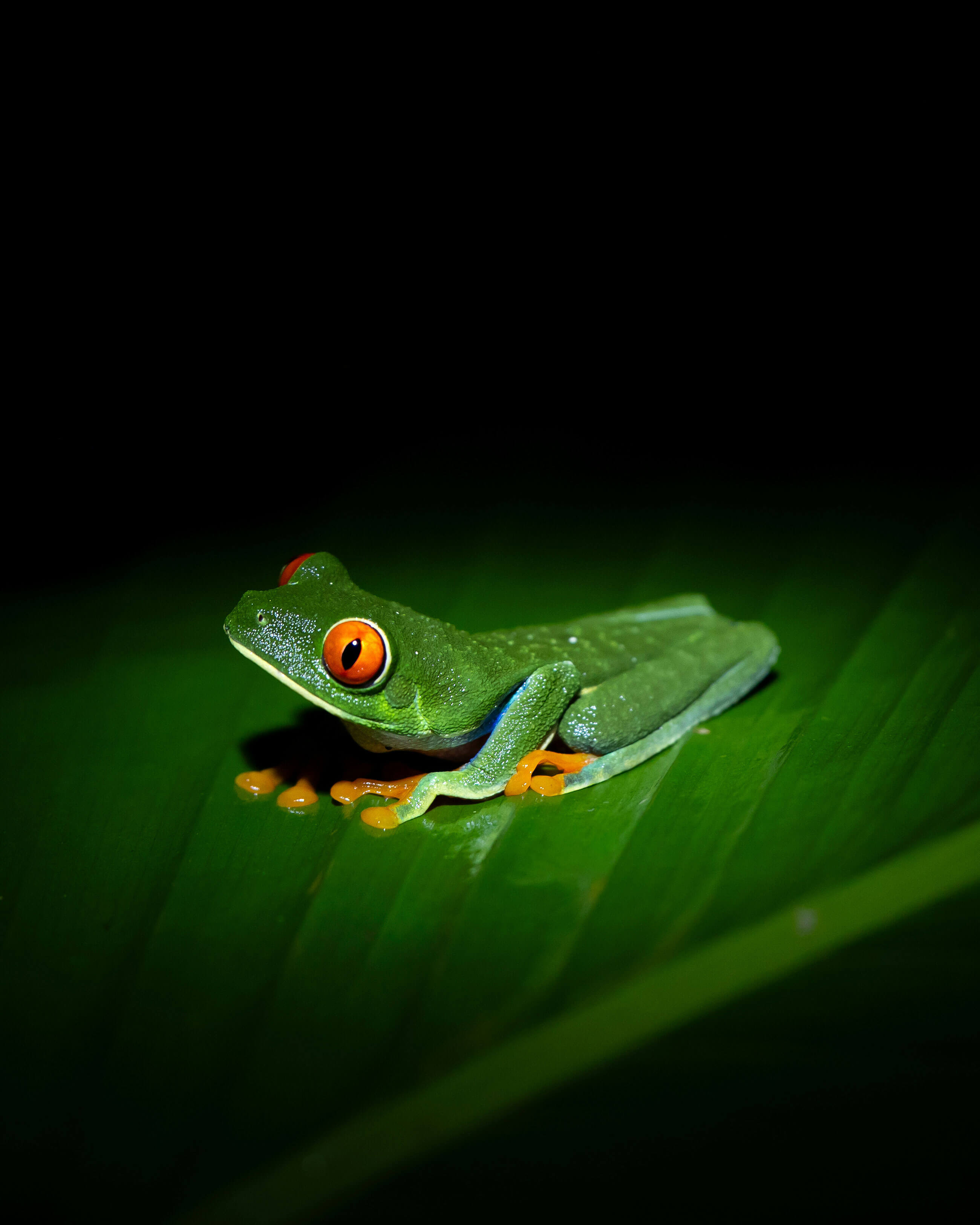 Best of Unsplash: Oktober 2025