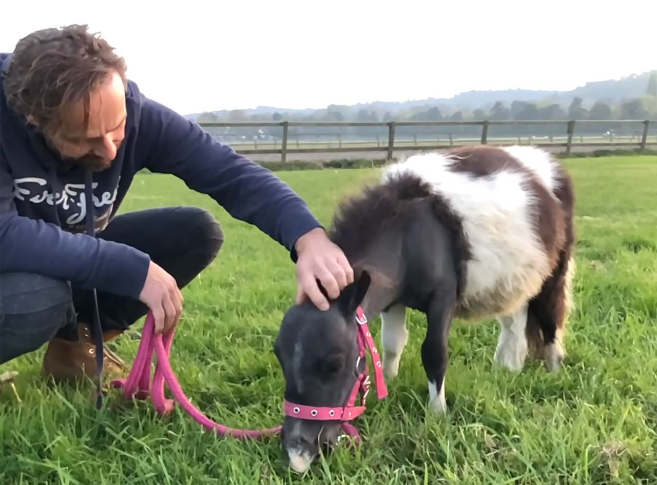 Fluff der Woche (112)