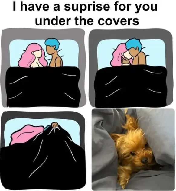 Bilderparade DCCCLXXXV BP885_04 