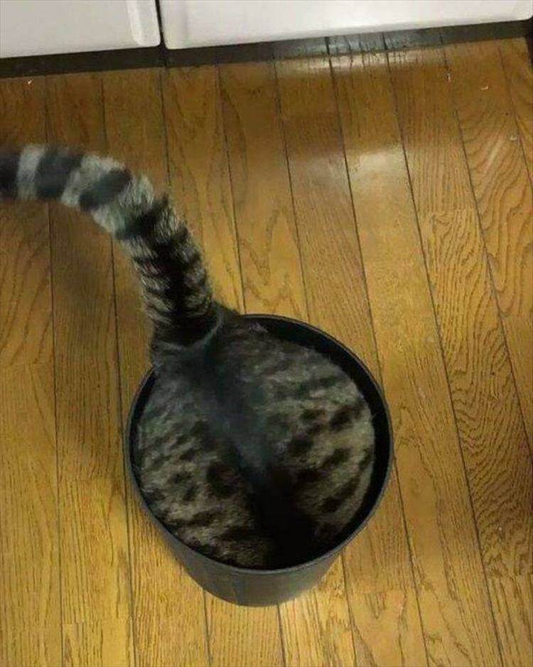 Bilderparade DCCCLXXXV BP885_27 