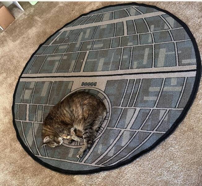 Bilderparade DCCCLXXXV BP885_32 