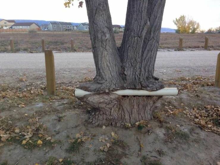 Bilderparade DCCCLXXXV BP885_44 