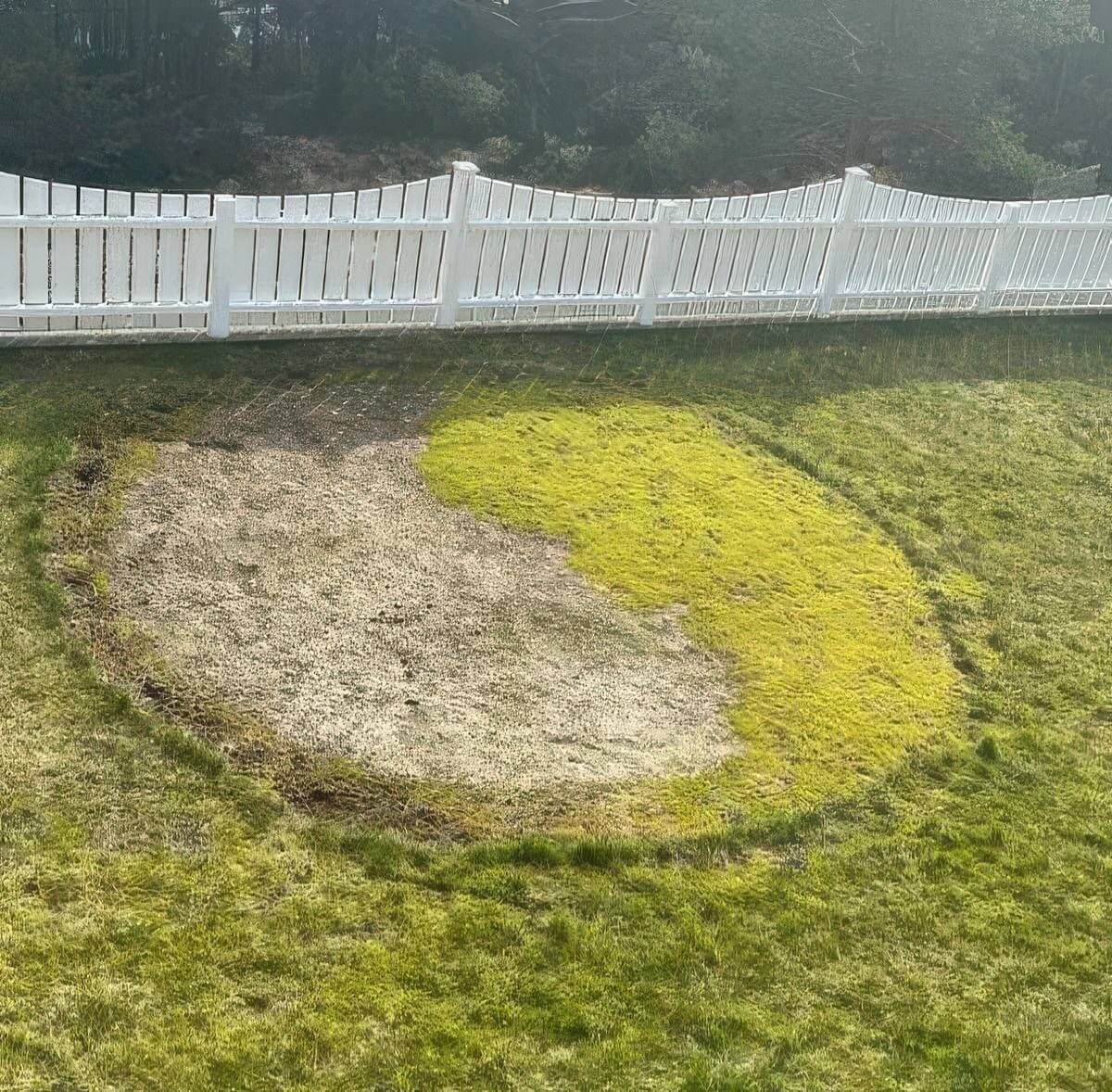 Bilderparade DCCCLXXXV BP885_65 