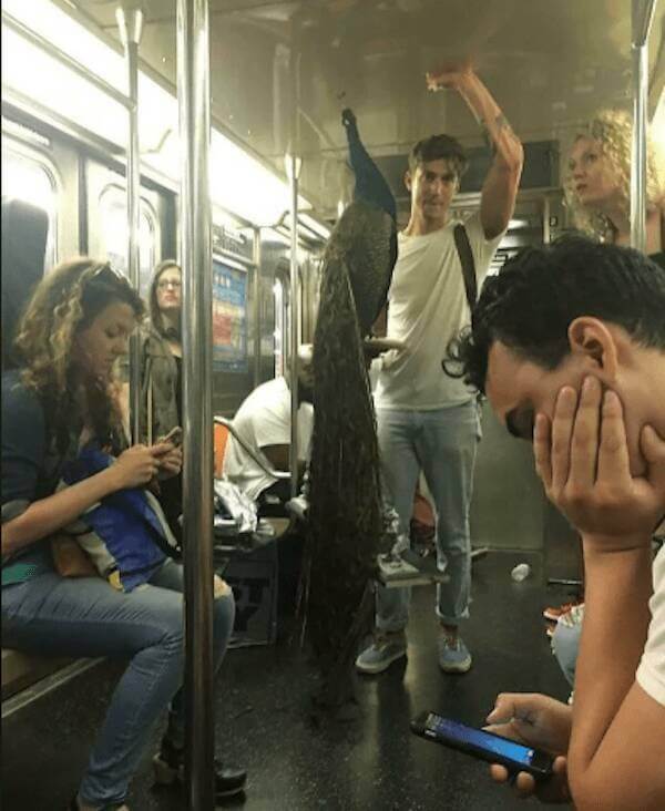 Bilderparade DCCCLXXXV BP885_72 