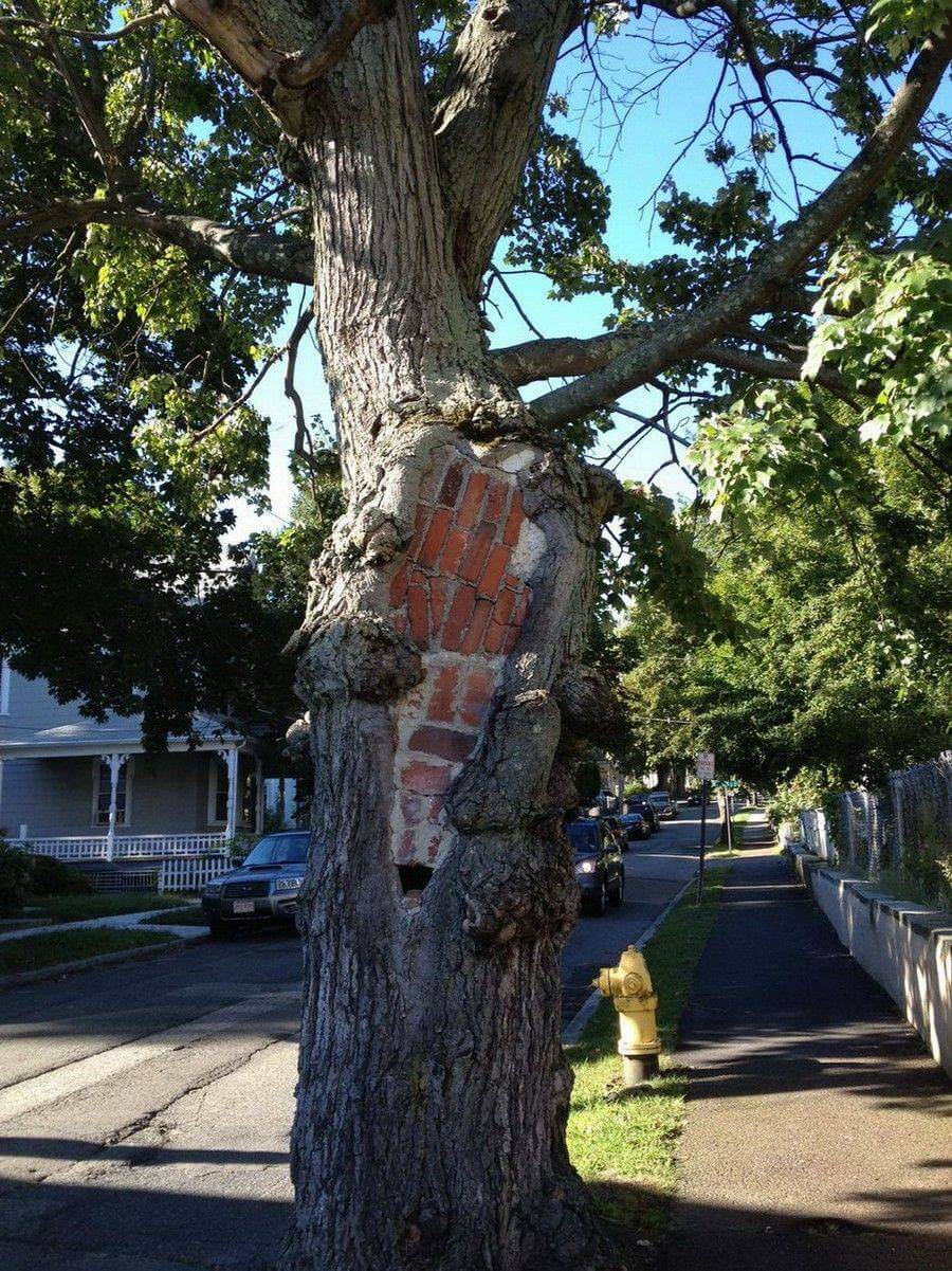 Bilderparade DCCCLXXXV BP885_82 