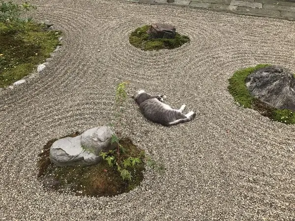 Bilderparade DCCCLXXXV BP885_89 