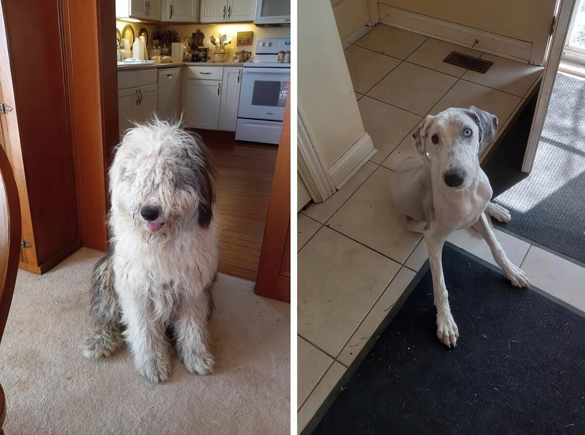 Bilderparade DCCCLXXXVI BP886_06 