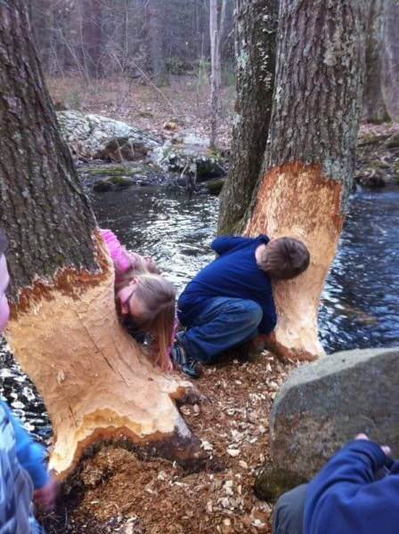 Bilderparade DCCCLXXXVI BP886_19 