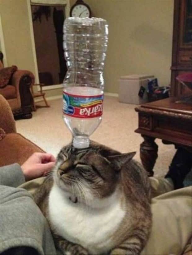 Bilderparade DCCCLXXXVI BP886_21 