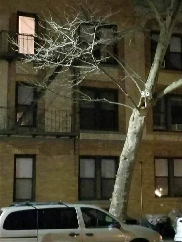 Bilderparade DCCCLXXXVI BP886_27 