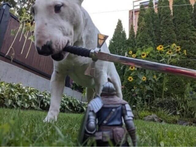 Bilderparade DCCCLXXXVI BP886_71 