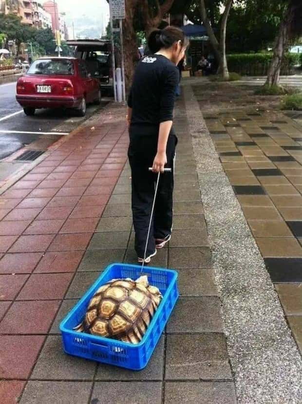 Bilderparade DCCCLXXXVI BP886_78 