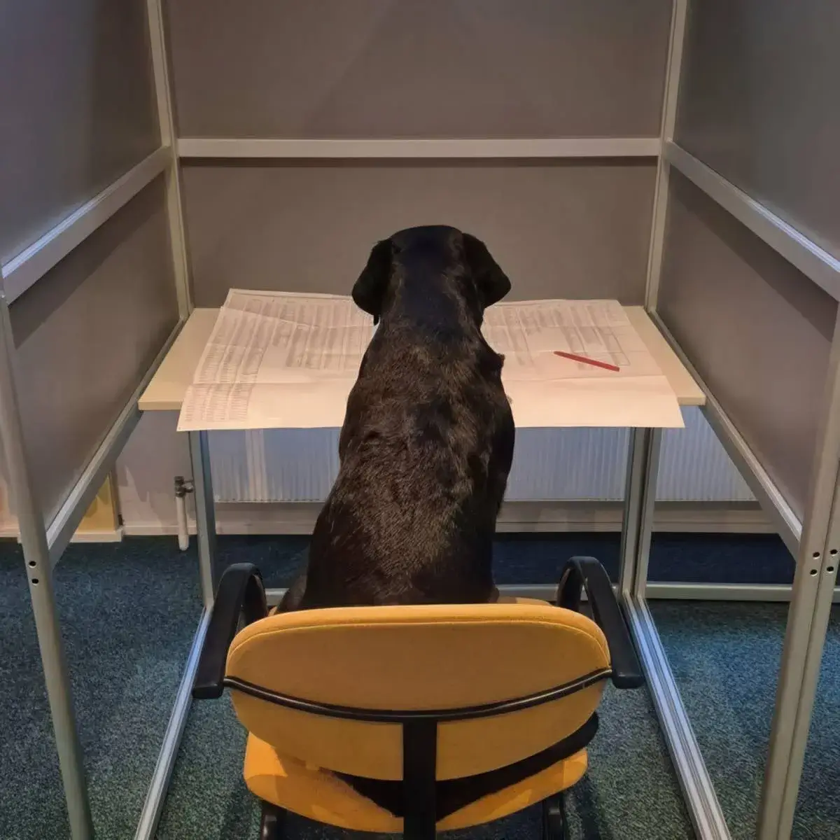 Bilderparade DCCCLXXXVI BP886_97 