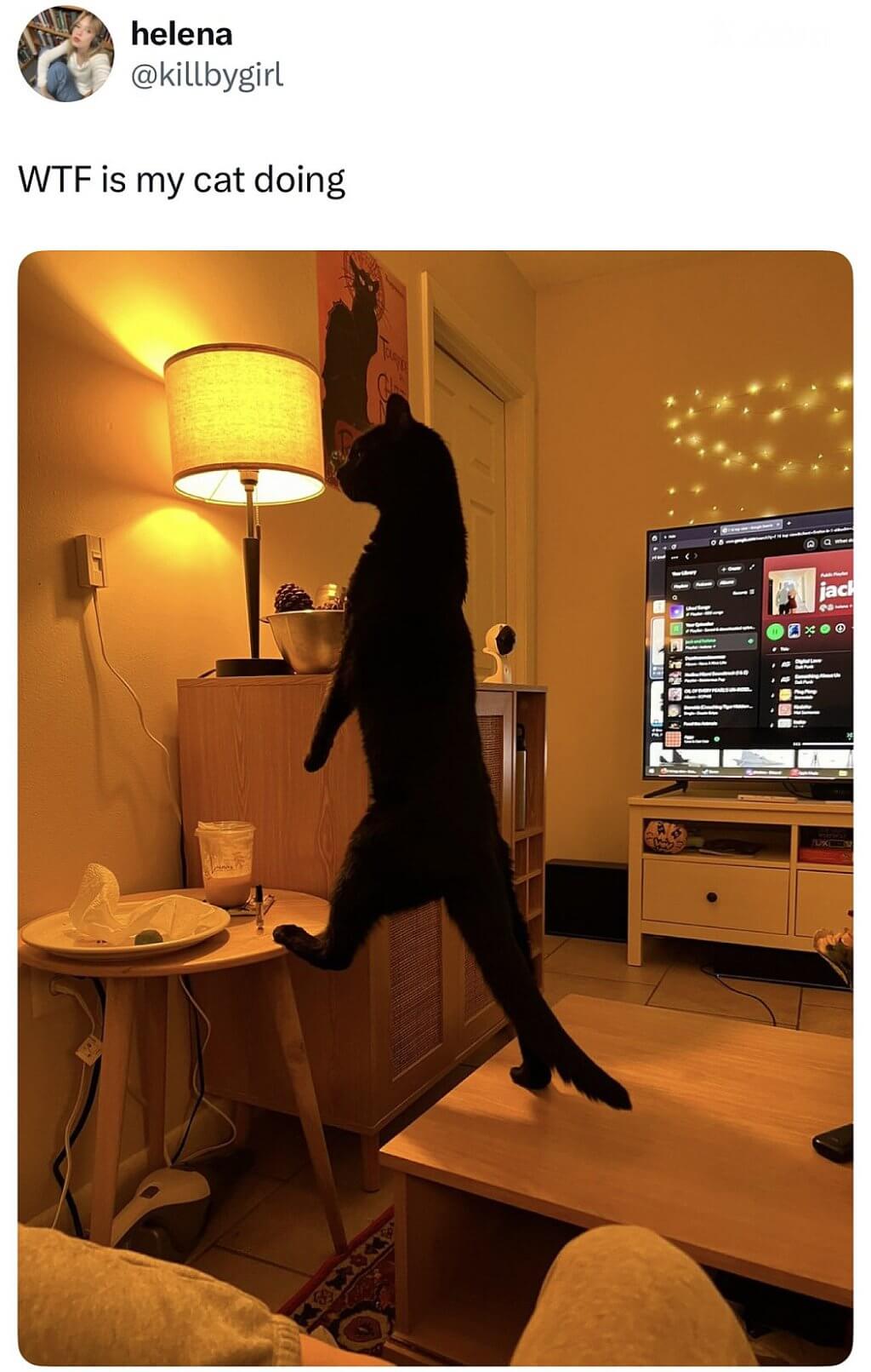 Bilderparade DCCCLXXXVII BP887_04 