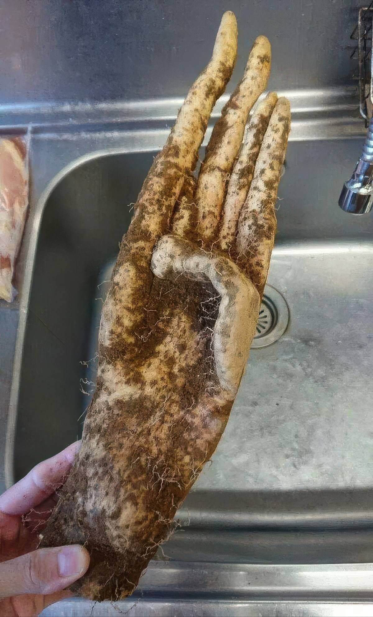 Bilderparade DCCCLXXXVII BP887_06 