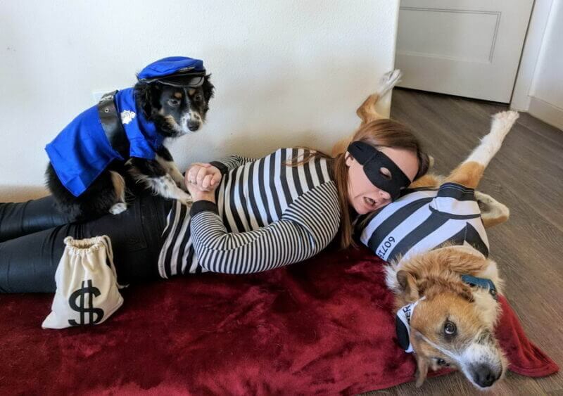 Bilderparade DCCCLXXXVII BP887_12 