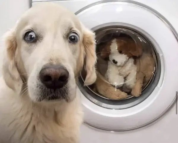 Bilderparade DCCCLXXXVII BP887_23 