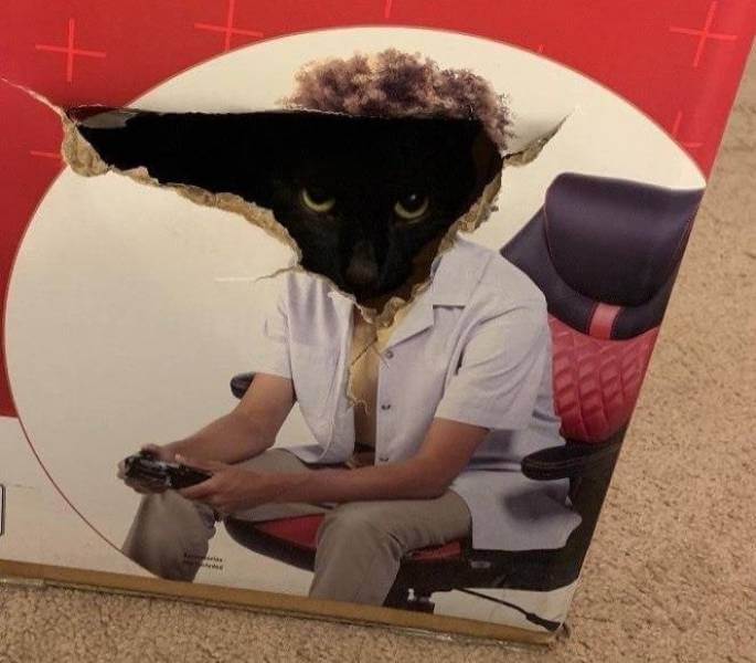 Bilderparade DCCCLXXXVII BP887_39 