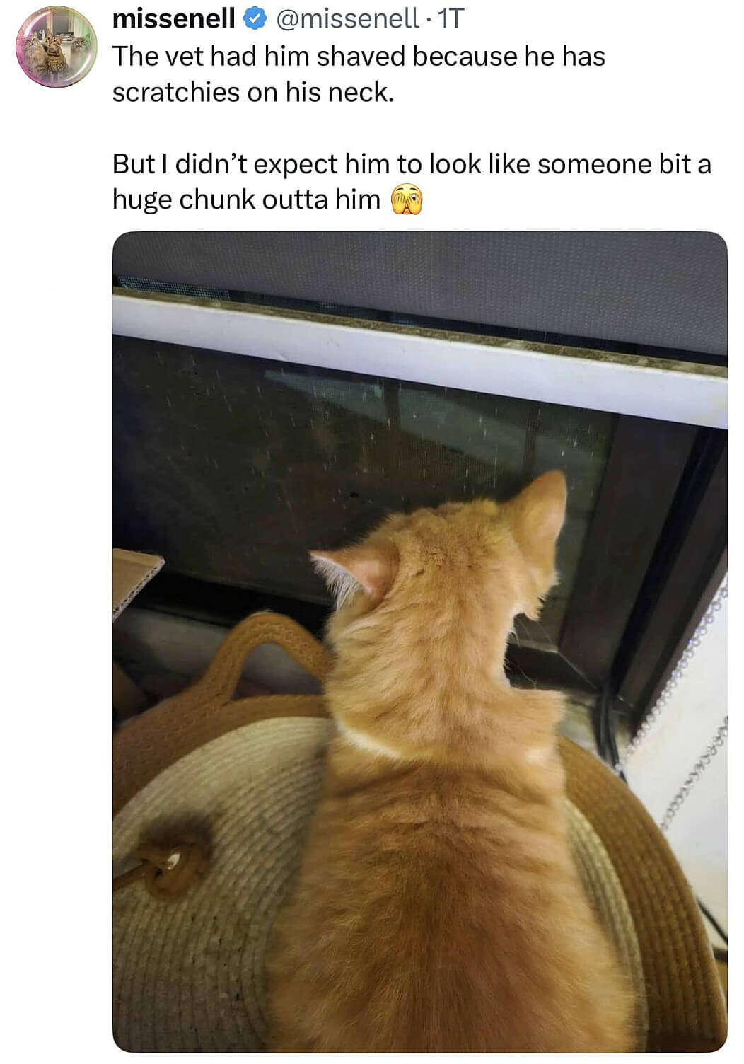 Bilderparade DCCCLXXXVII BP887_47 