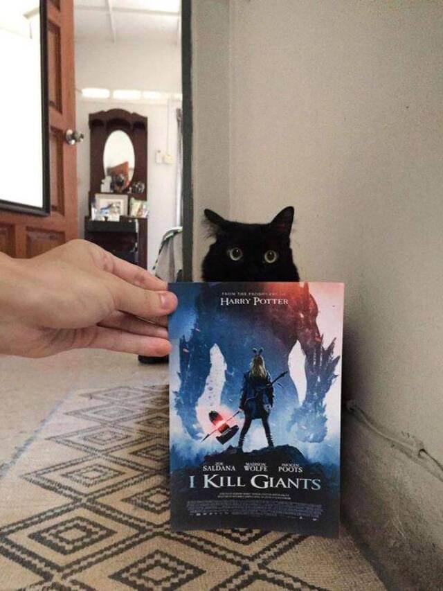 Bilderparade DCCCLXXXVII BP887_50 