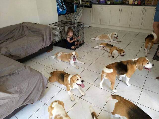 Bilderparade DCCCLXXXVII BP887_52 