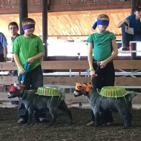 Bilderparade DCCCLXXXVII BP887_55 