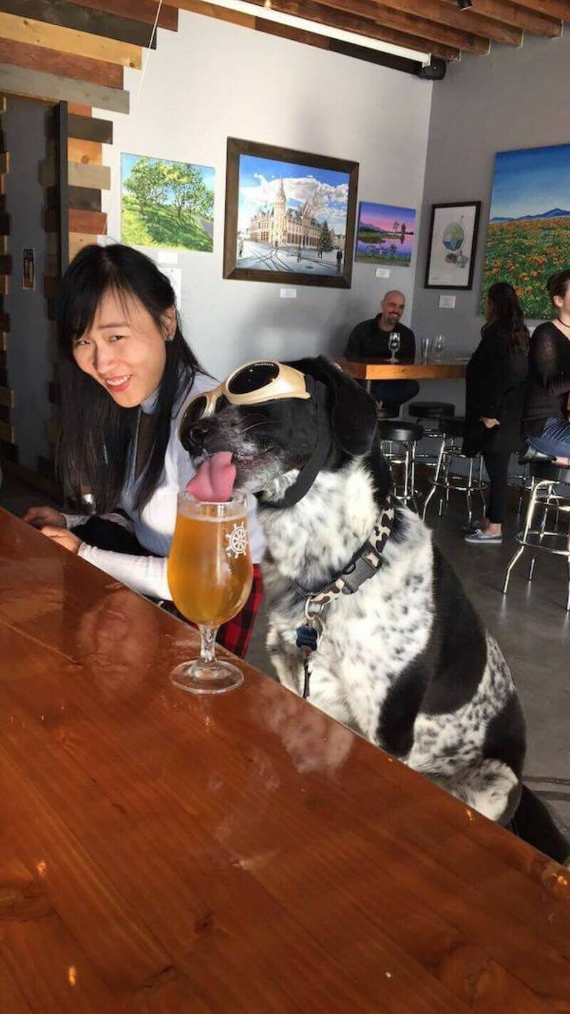 Bilderparade DCCCLXXXVII BP887_69 