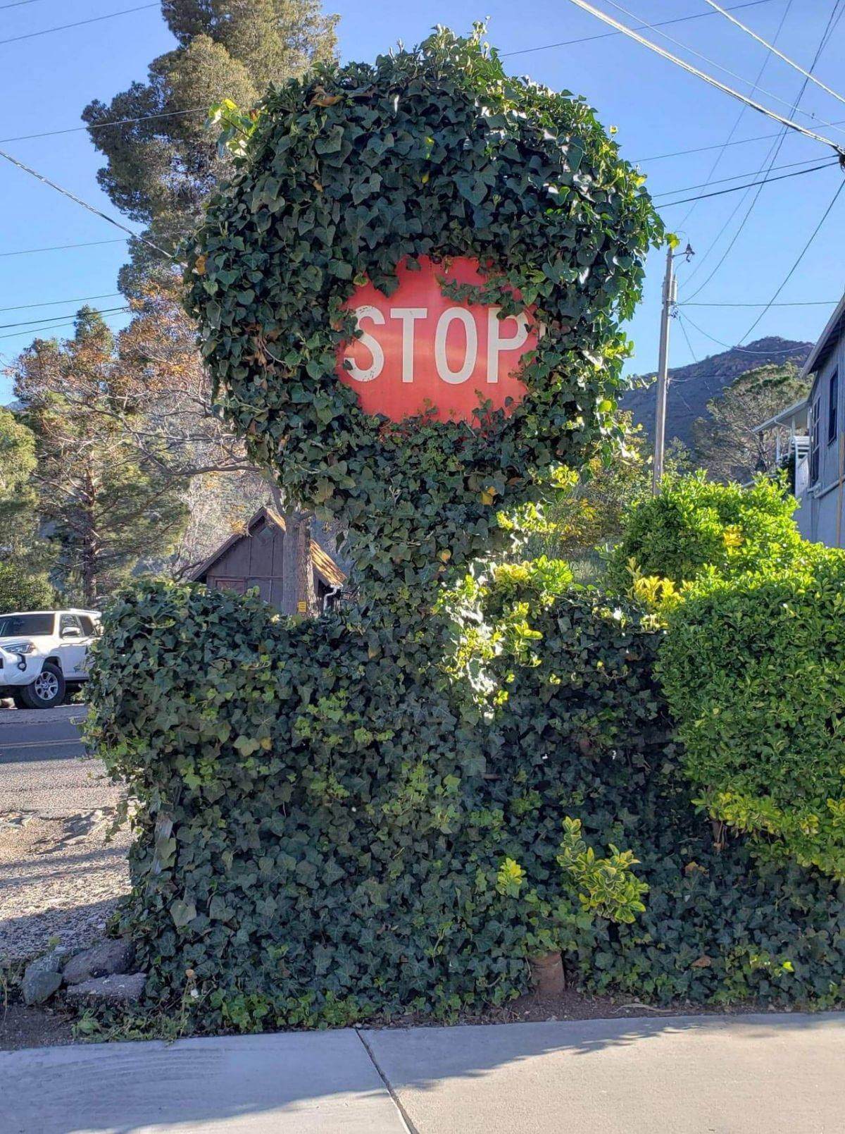 Bilderparade DCCCLXXXVII BP887_74 