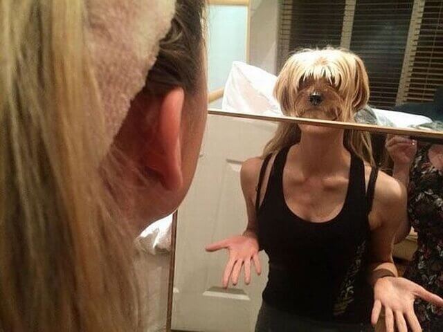 Bilderparade DCCCLXXXVIII BP888_35 