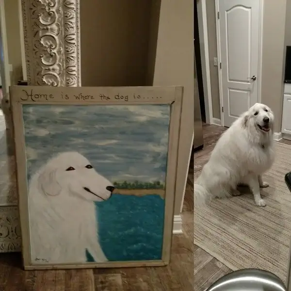 Bilderparade DCCCLXXXVIII BP888_69 