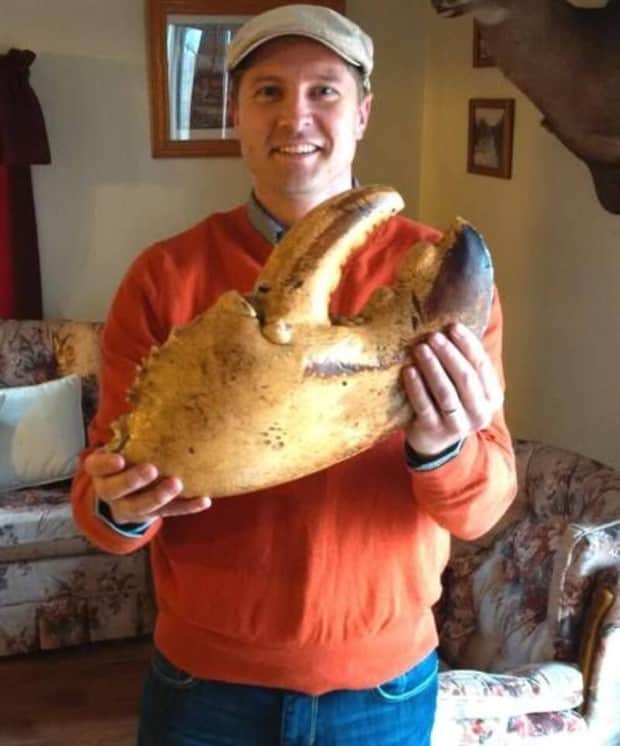 Bilderparade DCCCLXXXVIII BP888_71 