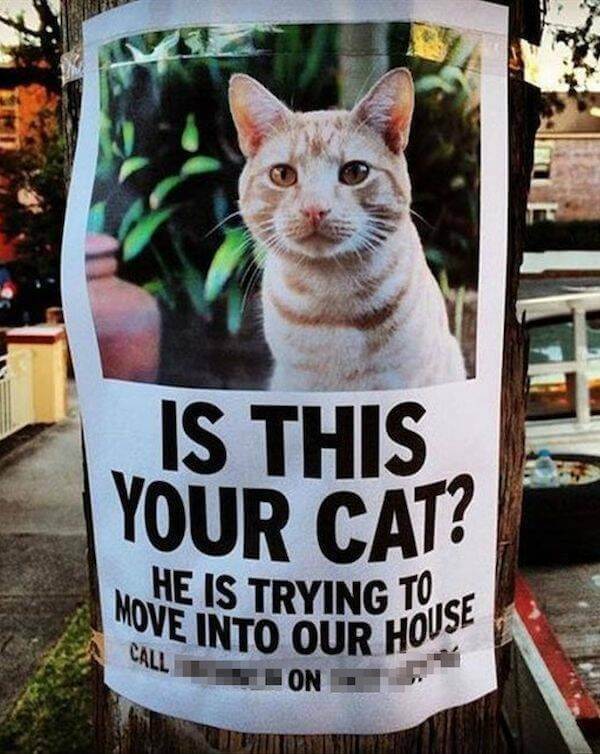 Bilderparade DCCCLXXXVIII BP888_85 