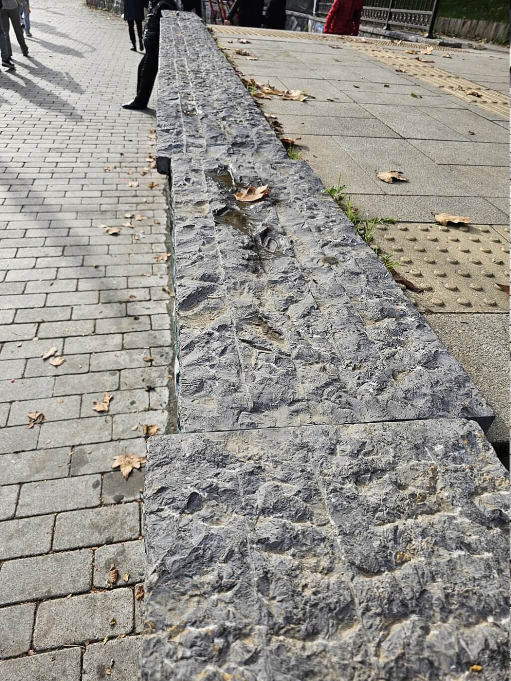 Bilderparade DCCCLXXXVIII BP888_87 