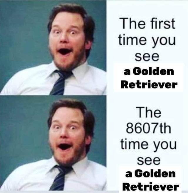 Bilderparade DCCCLXXXVIII BP888_92 