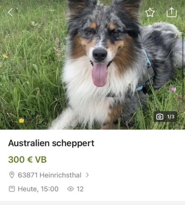 Bilderparade DCCCLXXXVIII BP888_97 