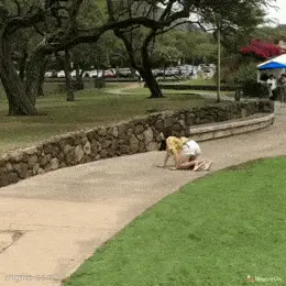 GIFparade CLIX GP159_06 