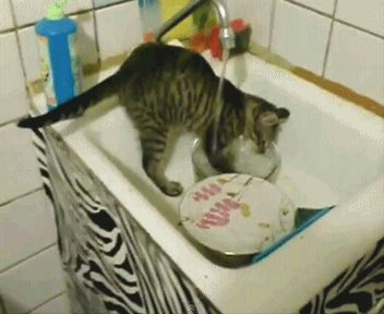 GIFparade CLIX GP159_11 