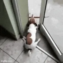 GIFparade CLIX GP159_13 